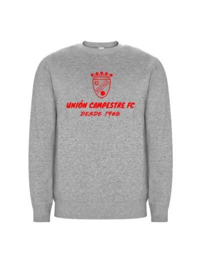 sudadera gris Sudadera Entrenamiento Gris Unión Campestre FC